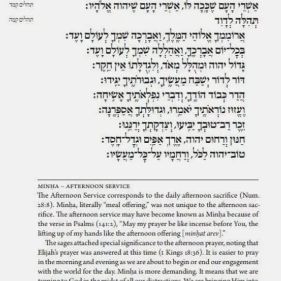 Rosh Hashanah Hebrew English Machzor Siddur Full Size Ashkenaz Lord Sacks - Picture 2 of 4